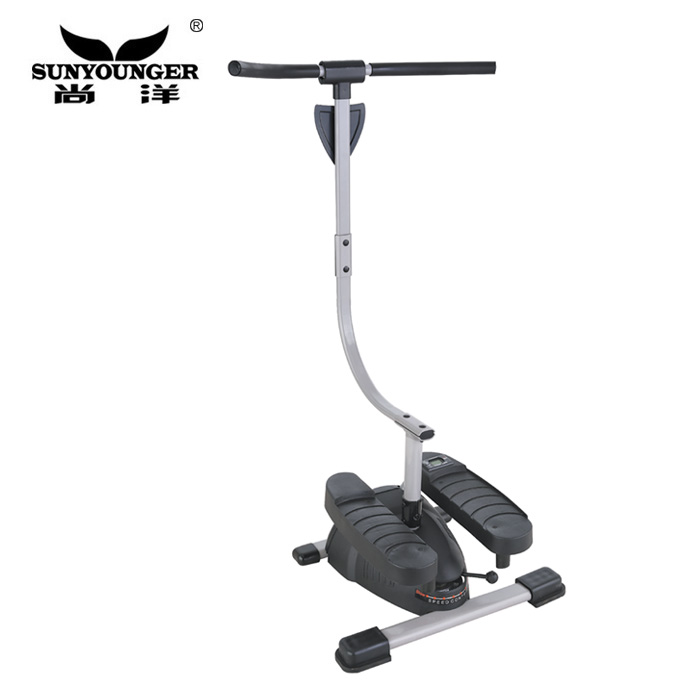 Cardio Twister Stepper